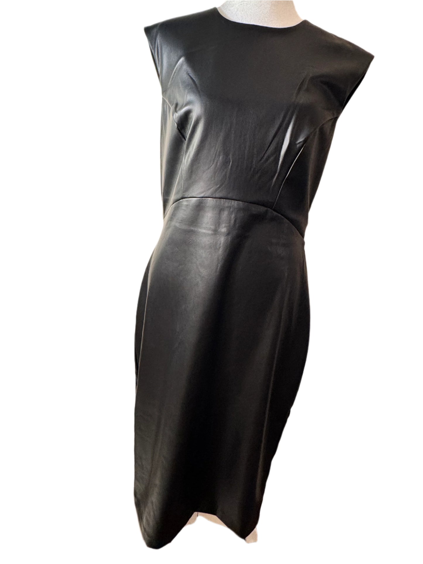 NEW!! Express Women Leather Flaux Dress (S)