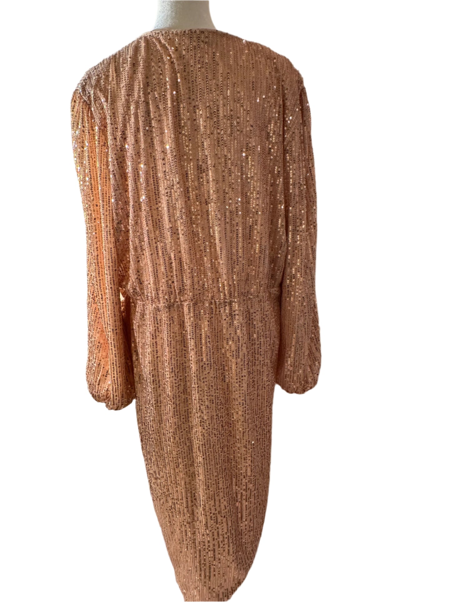 PREOWNED!! Sequin Evening dress XL